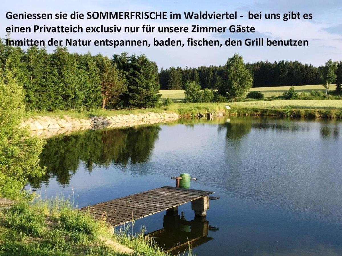 Sommerfrische Waldviertel Hotel Kirchberg am Walde Ngoại thất bức ảnh